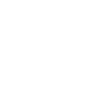 Wise Sparrow logo